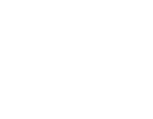 Logo blanc FPI-04